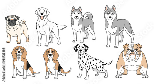 A colorful vector illustration of various dog breeds in a flat design style