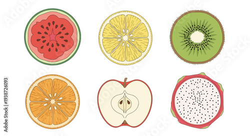 A colorful vector illustration of sliced fruits including watermelon, lemon, kiwi, orange, apple, and dragon fruit