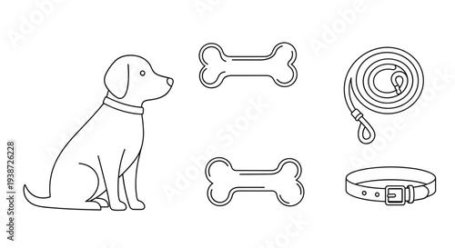 A minimalist vector illustration of a dog and its accessories