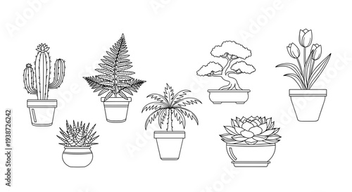 A minimalist line art illustration of various potted plants and succulents in a simple and elegant design