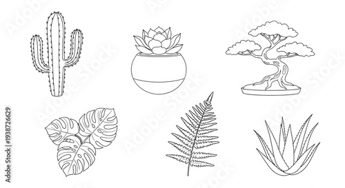 A set of six minimalist plant illustrations including a cactus, succulent, bonsai tree, and various leaves