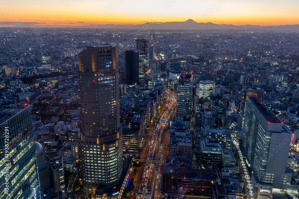 Fototapeta premium View of Shibuya downtown in Tokyo with high-rise towers clustering in Shibuya area in dusk