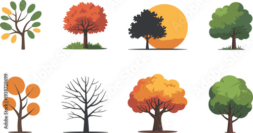 Collection of seasonal trees vector set showing spring summer autumn and winter foliage, flat design forest icons isolated on light background for nature illustration packs