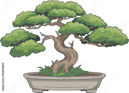 Elegant Japanese bonsai tree in ceramic pot with twisted trunk and lush green foliage detailed botanical illustration isolated on white background zen garden