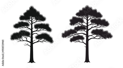 Black silhouette of two pine trees on white background