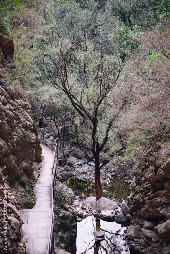 Fototapeta premium October 7th - Beijing: Hiking at Mountain and Hills in Beijing