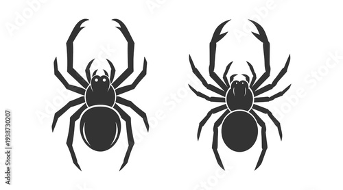 A black silhouette illustration of two spiders side by side on a white background showcasing their distinctive body and leg structure