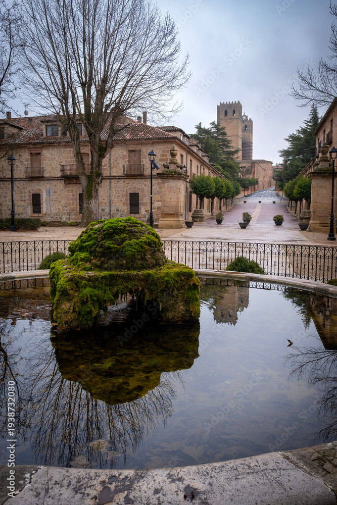 Fototapeta premium Scenic view of a mossy stone fountain reflecting a medieval cathedral tower and historic buildings in a quiet cobblestone square of a spanish village under an overcast sky in winter
