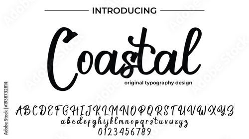 Coastal - Elegant Script Font for Smooth Handwritten Design and Creative Typography