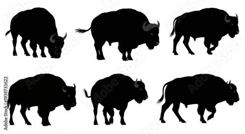 Bison Silhouettes Walking in Different Directions.