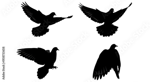 Black Birds Flying in Different Directions.