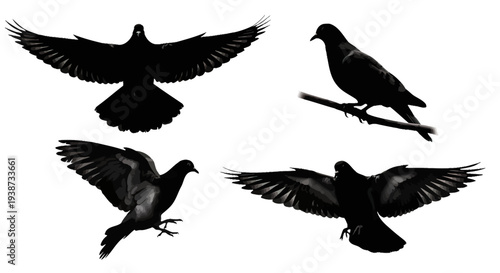Black Birds Flying and Perched Silhouettes.
