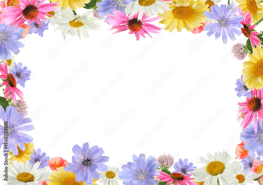Fototapeta premium Colorful flowers on white background. Frame design with space for text