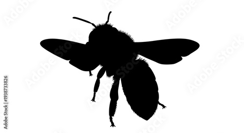 Black Silhouette of a Bee Flying.
