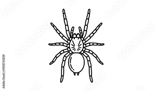 Принти на полотні A minimalist black and white illustration of a spider