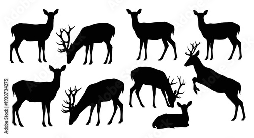 Deer Silhouettes in Various Poses.