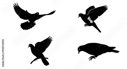 Four Black Birds in Flight Silhouettes.