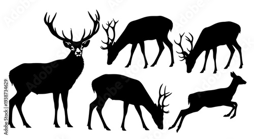 Group of Deer Silhouettes in Various Poses.