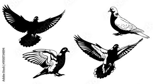 Pigeons in Flight Silhouette and Realistic.