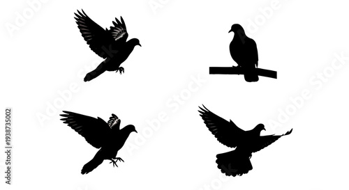 Silhouettes of Birds in Flight and Perched.