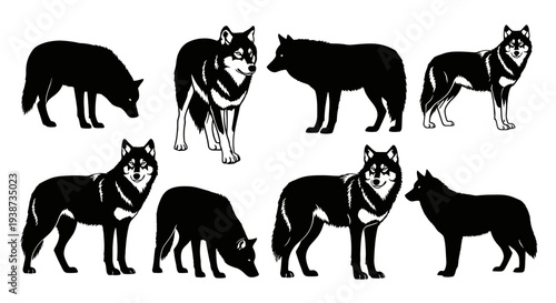 Silhouettes of Various Wolf Breeds Standing.