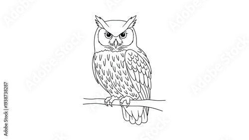 Detailed line art illustration of a wise owl perched calmly on a tree branch, showcasing its intricate feather patterns and keen eyes, symbolizing wisdom and nature.