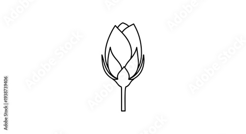 Unopened Flower Bud Icon, Simple Line Art, Minimalist Botanical Illustration