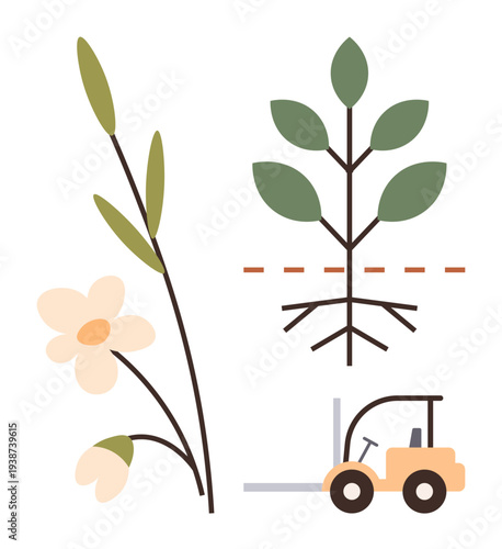 Agriculture, farming, environmental awareness, supply chain, plant growth, sustainability. Flower, plant with roots and forklift image. Agriculture and farming lifecycle concept