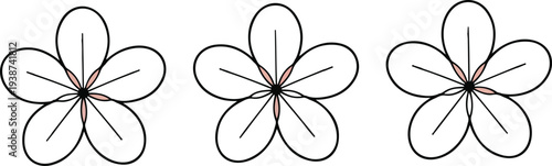 Minimal indoor houseplant collection with snake plant monstera cactus palm and fiddle leaf fig vector illustration