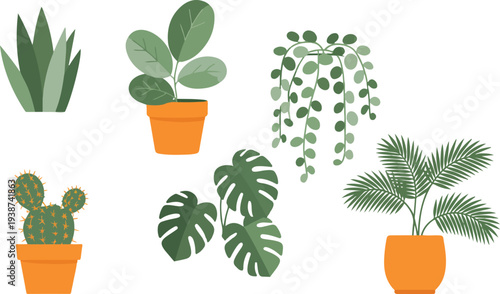 Minimal indoor houseplant collection with snake plant monstera cactus palm and fiddle leaf fig vector illustration