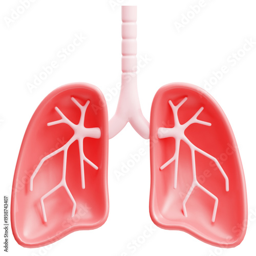 Close-up 3D Illustration of Healthy Human Lungs with Branching Bronchioles, symbolizing medical checkup and respiratory health