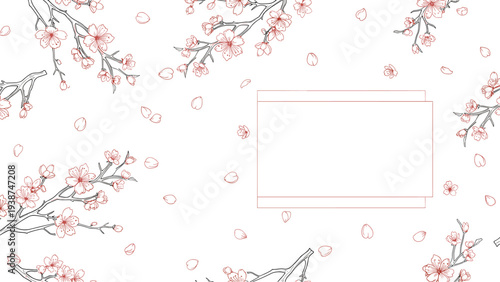 Elegant white background adorned with delicate cherry blossom branches and scattered petals, featuring a clean empty frame for text or imagery.