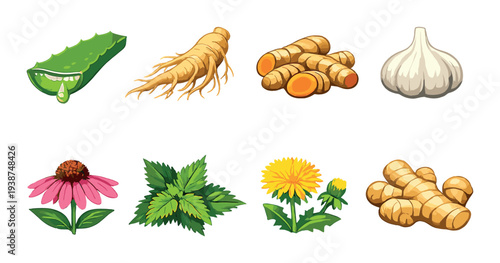 Herbal ingredients arranged in rows on green gradient background