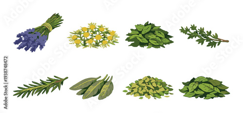 Bundles and piles of herbs and flowers on green background