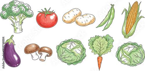 Hand Drawn Fresh Vegetable Collection with Tomato, Broccoli, Eggplant, Corn, Carrot, Cabbage, Mushrooms, and Peas for Organic Food Illustration and Healthy Cooking Designs
