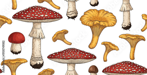 Hand Drawn Mushroom Seamless Pattern with Fly Agaric and Chanterelle Forest Fungi for Autumn Nature Background Textile and Botanical Surface Design