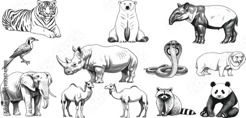 Hand Drawn Wildlife Animal Vector Set with Tiger, Bear, Rhino, Elephant, Cobra, Camel and Panda Detailed Sketch Collection