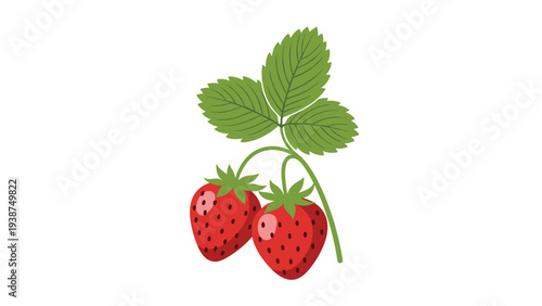 Delightful flat illustration of a small strawberry plant, featuring lush green leaves and two ripe, red, juicy strawberries, ready for picking.