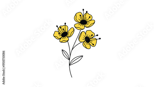 Delicate cluster of three yellow flowers with distinct black centers and a slender green stem, presented in an elegant line art style.