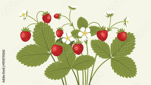 Vibrant cluster of wild strawberry plants, boasting ripe red berries, lush green leaves, and delicate white blossoms, capturing natural freshness.