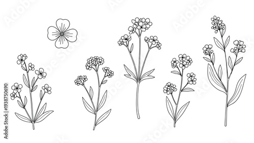 Elegant collection of small wild flower illustrations in delicate black and white line art, featuring single blooms and clustered sprigs.