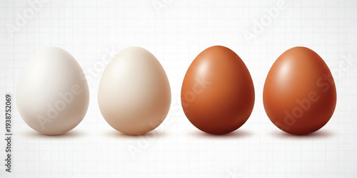 Realistic Chicken Egg Color Variation Set from White to Brown with Natural Gradient Shades Isolated on Grid Background Vector Illustration