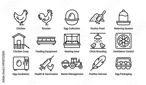 Comprehensive poultry farming icons: chicken, rooster, coop, feed, vaccination, waste, egg collection