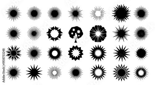 Collection of diverse black and white spiky circular shapes on a plain background viewed from directly above