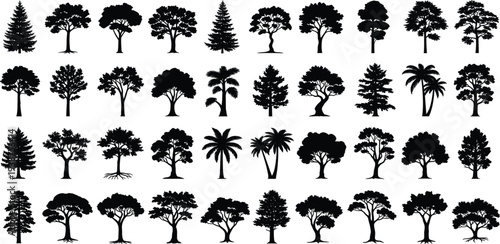 Tree Silhouette Collection with Various Forest, Pine, Palm and Deciduous Trees Isolated in Black for Nature Landscape Design and Woodland Projects