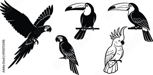 Tropical Bird Silhouette Set with Parrot Toucan and Cockatoo in Flying and Perched Poses Black and White Vector Illustration