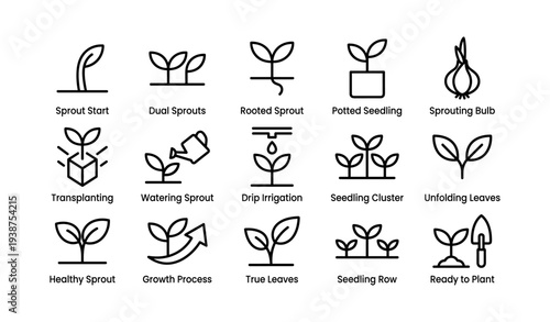 Icon set illustrating various stages of plant growth and gardening techniques