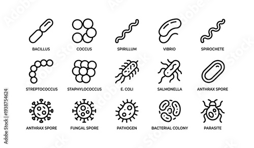 Illustrated bacteria and pathogens chart with labels and icons