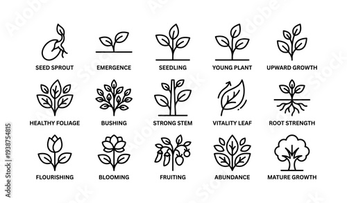 Growth stages of plants: from seed sprout to mature growth icon set