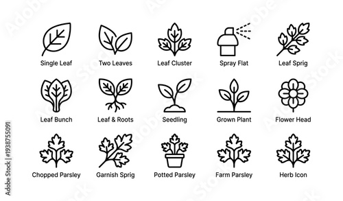 Various leaf and plant icons collection including seedling and flower head